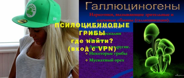 дмт Алзамай