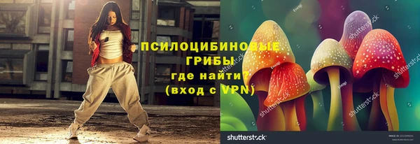 кокс Алексин
