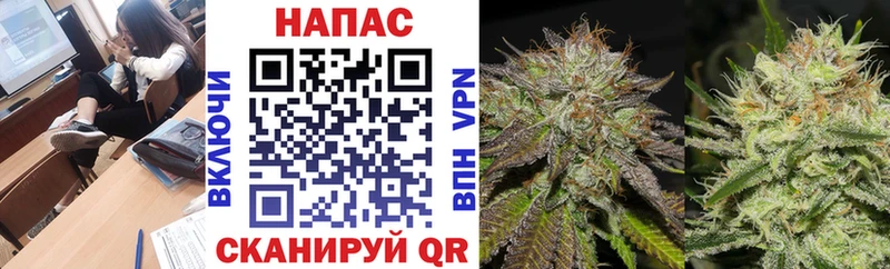 Каннабис планчик  Тосно 
