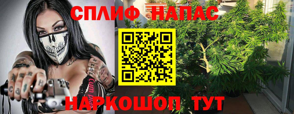 Канабис план  Канабис MAZAR  Бошки Шишки план  Тосно  Вход с VPN  МАРИХУАНА гибрид 
